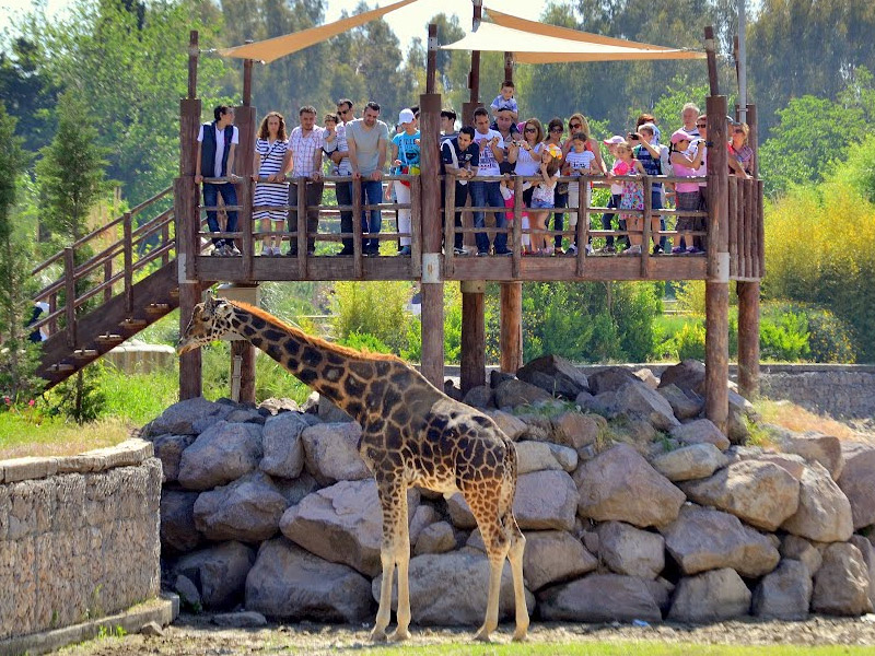 izmir doğal yaşam parkı